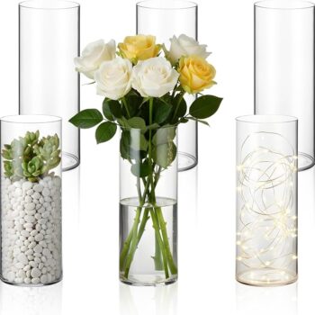 Clear Plastic Cylinder Vases for Floral Arrangements
