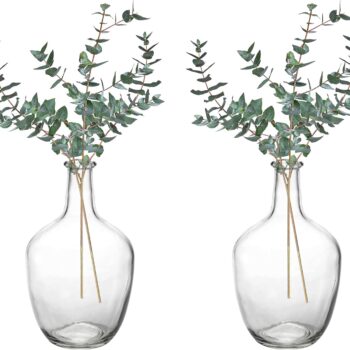 2-Pack Clear Solid Glass Vases, 10-inch Small Decorative Balloon Pot Vases